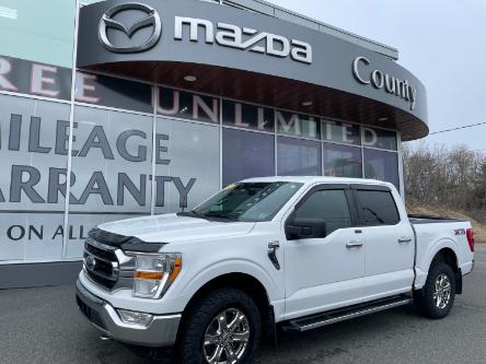 2021 Ford F-150 XLT (Stk: T176582A) in New Glasgow - Image 1 of 34