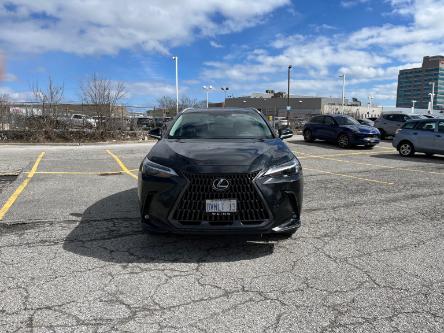 Used Cars, SUVs, Trucks for Sale in Markham | Don Valley North Lexus