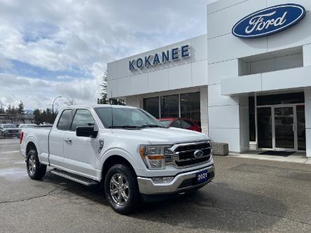 2021 Ford F-150 XLT (Stk: 24T625A) in CRESTON - Image 1 of 21