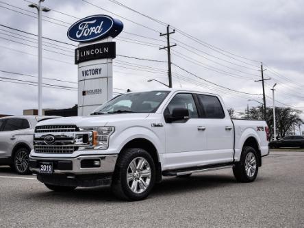 2019 Ford F-150  (Stk: V22596A) in Chatham - Image 1 of 32