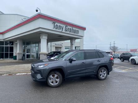 2023 Toyota RAV4 Hybrid LE (Stk: E9802) in Ottawa - Image 1 of 14