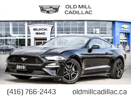 2019 Ford Mustang EcoBoost Premium (Stk: 196873U) in Toronto - Image 1 of 25