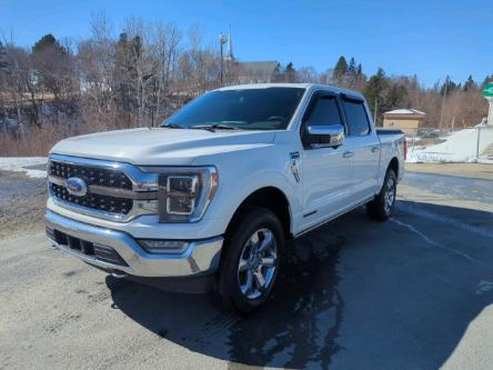 2021 Ford F-150  (Stk: F743A) in Miramichi - Image 1 of 13