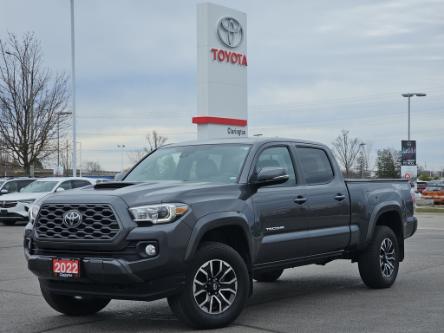 2022 Toyota Tacoma Base (Stk: P3393) in Bowmanville - Image 1 of 29