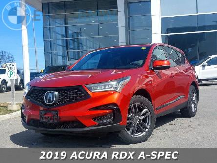2019 Acura RDX A-Spec (Stk: 15836A) in Gloucester - Image 1 of 24