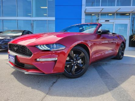 2021 Ford Mustang EcoBoost (Stk: N16505) in Newmarket - Image 1 of 16