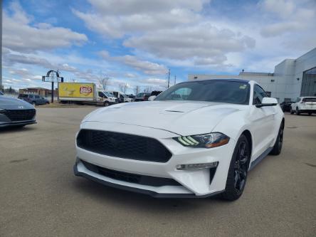 2019 Ford Mustang EcoBoost Premium (Stk: F6847) in Prince Albert - Image 1 of 13