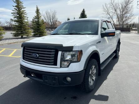 2012 Ford F-150 FX4 (Stk: 3B1294) in Cardston - Image 1 of 27