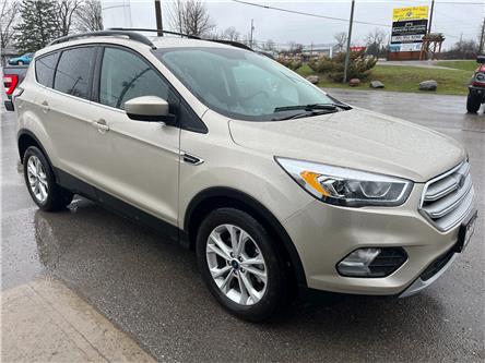 2018 Ford Escape SEL (Stk: P0794A) in Bobcaygeon - Image 1 of 13