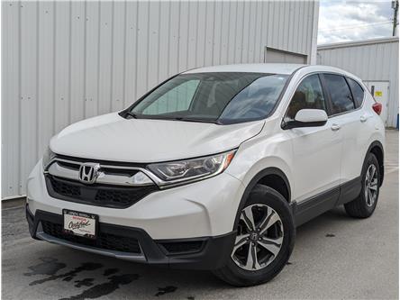 2019 Honda CR-V LX (Stk: H07900A) in North Cranbrook - Image 1 of 15