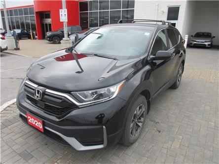 2020 Honda CR-V LX (Stk: 31834L) in Ottawa - Image 1 of 24