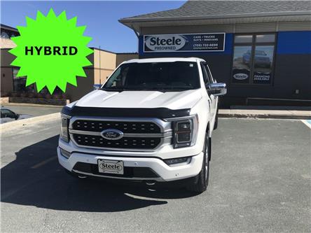 2022 Ford F-150  (Stk: N516824A-220) in St. John’s - Image 1 of 27