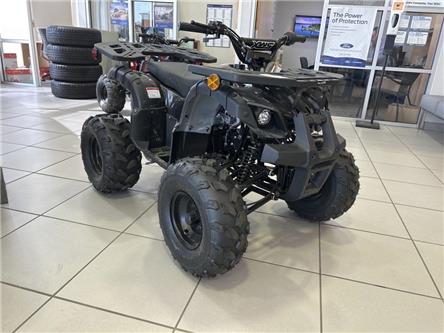 2021 Hyundai SMX ATV (Stk: F06) in Perth - Image 1 of 9