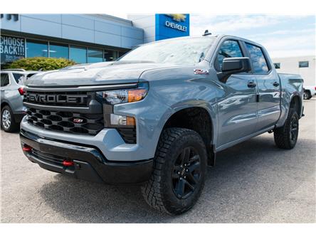 2024 Chevrolet Silverado 1500 Custom Trail Boss (Stk: 241109) in Midland - Image 1 of 23