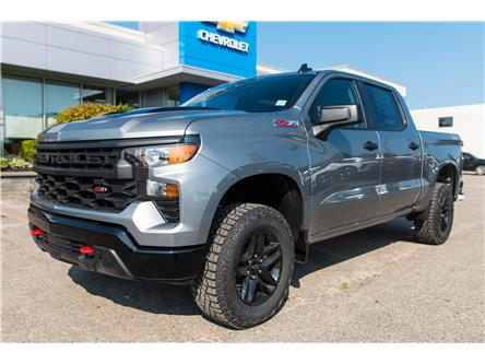 2024 Chevrolet Silverado 1500 Custom Trail Boss (Stk: 241260) in Midland - Image 1 of 21