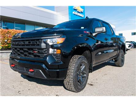 2024 Chevrolet Silverado 1500 Custom Trail Boss (Stk: 241281) in Midland - Image 1 of 22