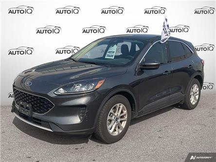 2020 Ford Escape SE (Stk: A240585) in Hamilton - Image 1 of 11