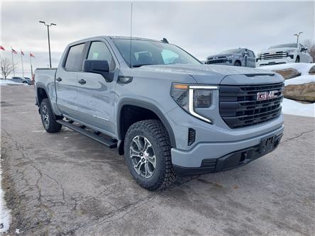 2025 GMC Sierra 1500 Pro (Stk: 25172) in Haliburton - Image 1 of 18