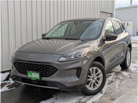 2022 Ford Escape SE (Stk: B12487) in North Cranbrook - Image 1 of 15