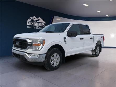 2022 Ford F-150 XLT (Stk: 11954) in Golden - Image 1 of 17