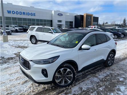 2024 Ford Escape Platinum (Stk: 19115) in Calgary - Image 1 of 24