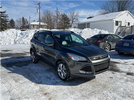 2015 Ford Escape SE (Stk: 250172) in Ottawa - Image 1 of 21