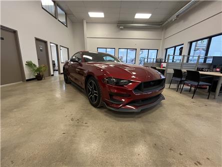 2019 Ford Mustang GT in Saskatoon - Image 1 of 11