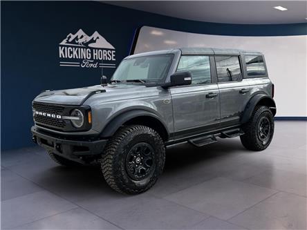 2024 Ford Bronco Wildtrak (Stk: 11580) in Golden - Image 1 of 17