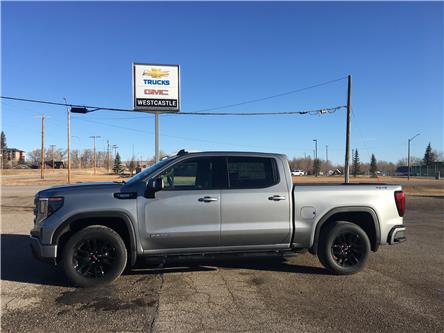 2025 GMC Sierra 1500 Elevation (Stk: 18515989) in Pincher Creek - Image 1 of 16