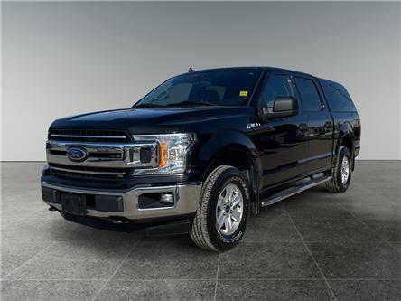 2019 Ford F-150 XLT (Stk: P40022C) in Saskatoon - Image 1 of 15