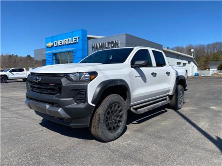 2025 Chevrolet Colorado Trail Boss (Stk: 12477) in Wakefield - Image 1 of 21