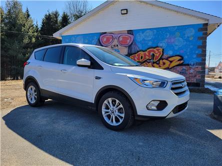 2019 Ford Escape SE in Sunny Corner - Image 1 of 15