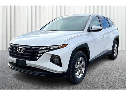 2022 Hyundai Tucson Urban (Stk: 24P7898A) in Cranbrook - Image 1 of 30