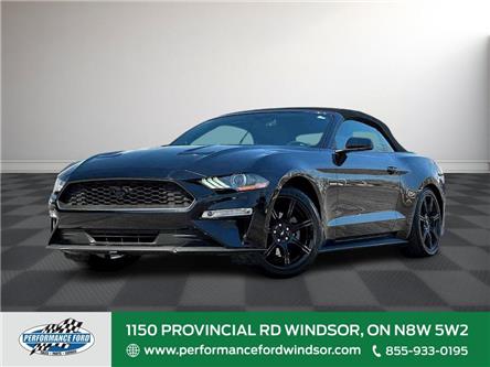 2019 Ford Mustang  (Stk: PR88892) in Windsor - Image 1 of 28