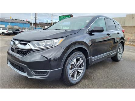 2018 Honda CR-V LX (Stk: TL8370A) in Saint John - Image 1 of 13