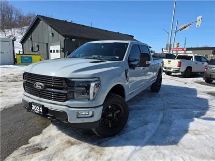 2024 Ford F-150 Platinum (Stk: DF2550) in Sudbury - Image 1 of 32