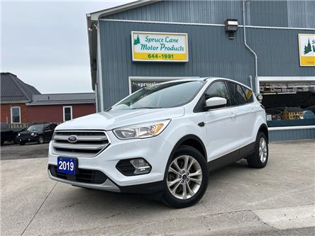 2019 Ford Escape SE (Stk: 13319) in Belmont - Image 1 of 22