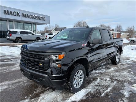 2025 Chevrolet Silverado 1500 Work Truck (Stk: 35296) in Renfrew - Image 1 of 29