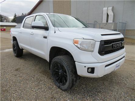 2015 Toyota Tundra Platinum 5.7L V8 (Stk: 25-008B) in KILLARNEY - Image 1 of 11