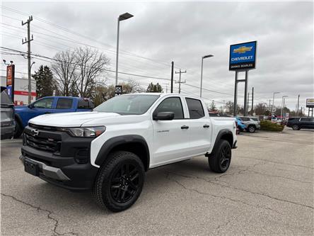 2025 Chevrolet Colorado Trail Boss (Stk: TS169386) in Caledonia - Image 1 of 66