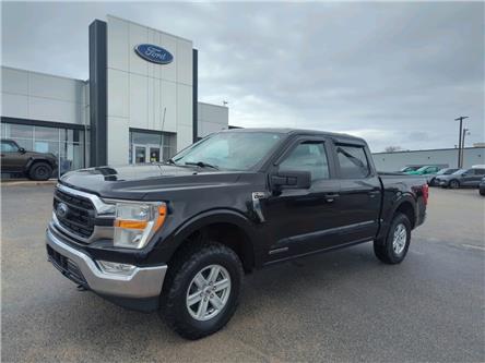 2022 Ford F-150  (Stk: F1132A) in Miramichi - Image 1 of 13