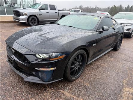 2019 Ford Mustang GT Premium (Stk: 24395) in Pembroke - Image 1 of 2
