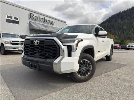 2024 Toyota Tundra SR5 (Stk: P2161) in PRINCE RUPERT - Image 1 of 13