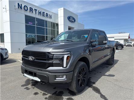 2025 Ford F-150 Platinum (Stk: 25079) in Espanola - Image 1 of 14