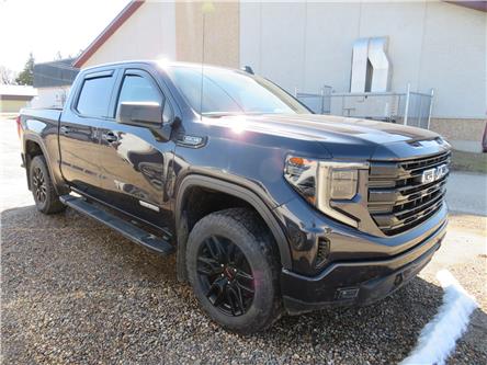 2023 GMC Sierra 1500 Elevation (Stk: TT-022A) in KILLARNEY - Image 1 of 2