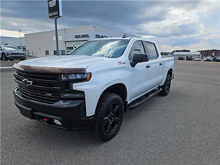 2019 Chevrolet Silverado 1500 LT Trail Boss (Stk: 2024367AA) in ARNPRIOR - Image 1 of 18