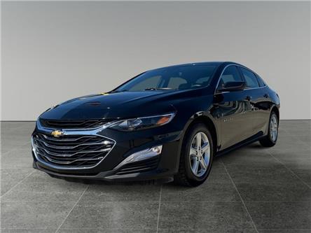 2024 Chevrolet Malibu LS (Stk: BP2954C) in Saskatoon - Image 1 of 15