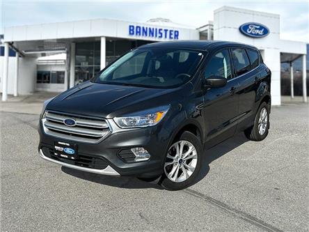 2019 Ford Escape SE (Stk: 57B1518) in Penticton - Image 1 of 19