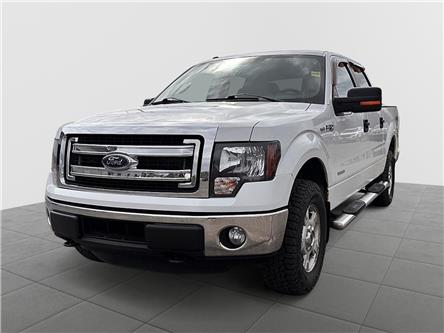 2014 Ford F-150 XLT (Stk: 250944NA) in Fredericton - Image 1 of 3
