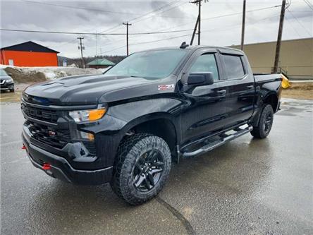 2023 Chevrolet Silverado 1500 Custom Trail Boss (Stk: 42466J) in Belleville - Image 1 of 3